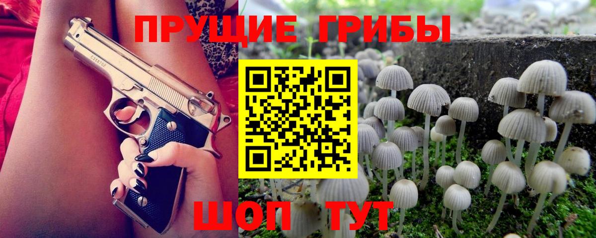 Галлюциногенные грибы Cubensis Реутов